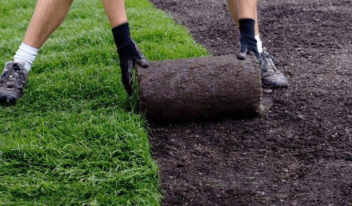 A man carefully laying sod on a grass field, ensuring a lush and even coverage for a beautiful landscape.