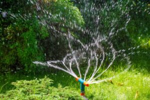 . A sprinkler sprays water over a lush green lawn, enhancing the vibrant grass beneath it.