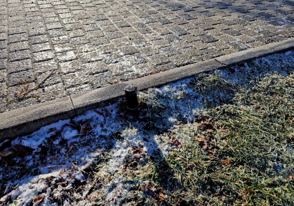 A brick sidewalk covered in snow, highlighting the need for winter sod maintenance and care.